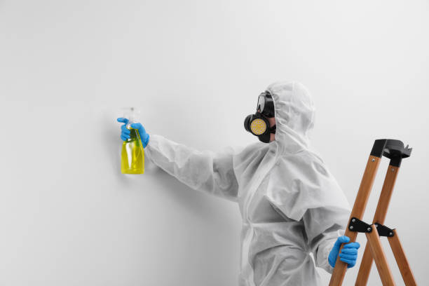 Best Mold Prevention Services  in Woodlake, CA